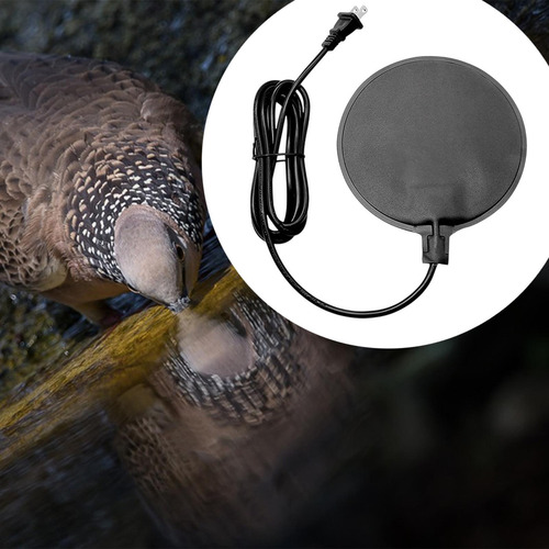 Calentador De Baño Para Pájaros, Descongelador, Calentador