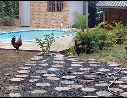 Chácara Com Duas Casas E Piscina
