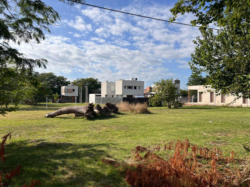 Lotes En Venta Calle 42 Y 149, San Carlos I Barrio Liquidámbar