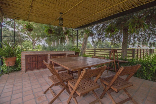 Imagen 14 de 30 de Rancho Morera En Venta, Carretera A Dolores Hidalgo En San M