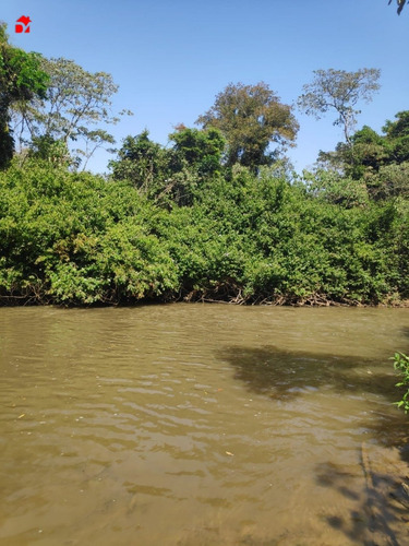 Imagem 2 de 10 de Chacara - Zona Rural - Ref: 1717 - V-1717