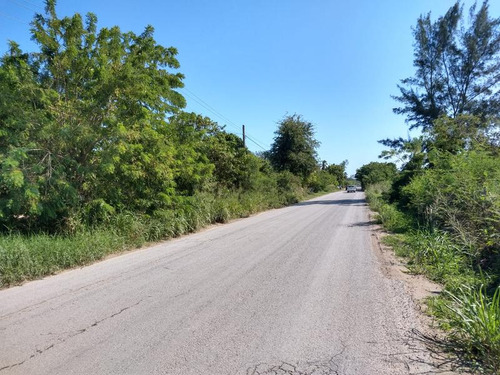 Venta Terreno 520 M² Carretera Termoelectrica Playa Tuxpan Veracruz