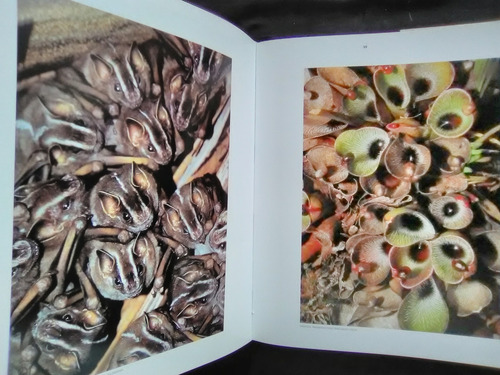 Los Rostros De La Extinción. Especies Amenazadas (Usado)