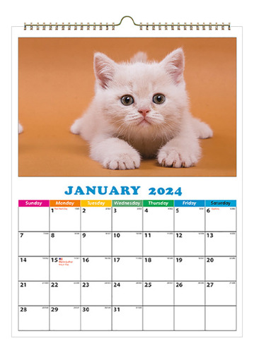 Calendario Fotográfico Para Mascotas, Versión A4, Suave Y Bo