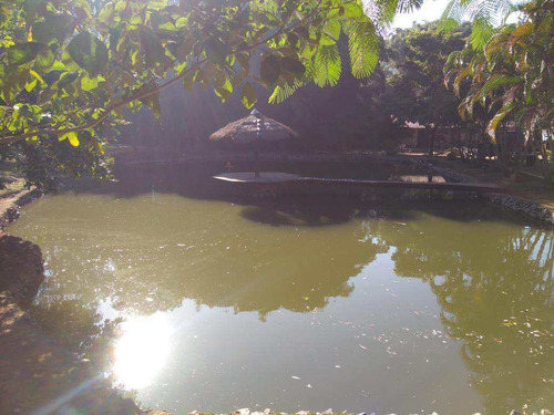 Imagem 14 de 30 de Chácara Com 3 Dorms, Itaim Mirim, Santana De Parnaíba - R$ 1.9 Mi, Cod: 235050 - V235050