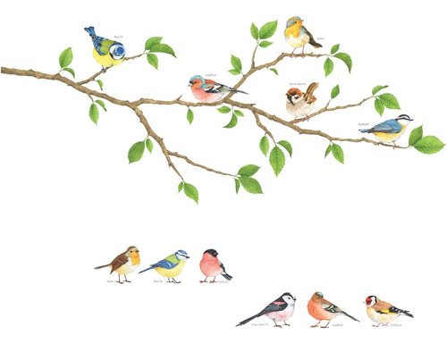 Decowall Ds-8036 Jardín Pájaros Niños Pegatinas De Pared De