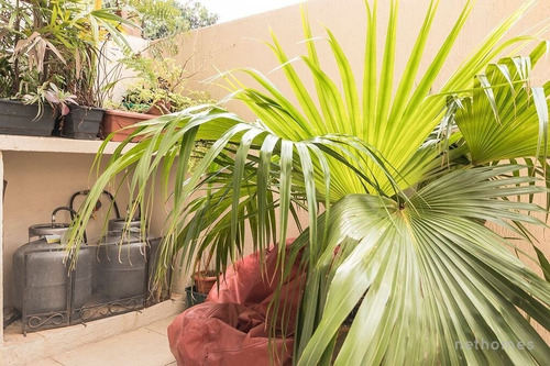 Imagem 5 de 15 de Casa Em Condominio - Camaqua - Ref: 24437 - V-24437