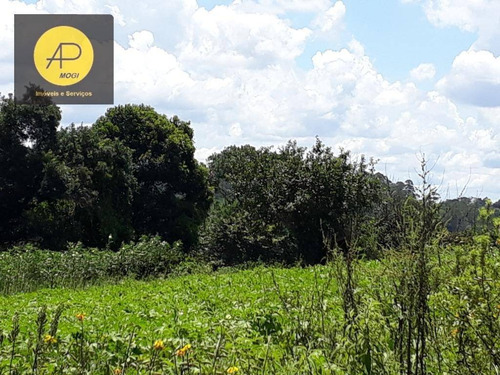 Terreno À Venda, 30000 M² Por R$ 1.200.000 - Vila São Sebastião - Ferraz De Vasconcelos/sp - Te0040