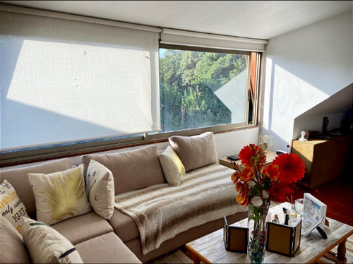 Gran Casa Casa En Venta De 7 Dorm ! San Francisco De Asís