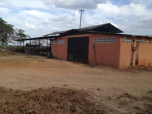 Imagen 11 de 14 de Finca En Venta Vía Sur Con Pista De Aterrizaje