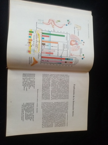 Libro Líquidos Y Electrolitos (Usado)