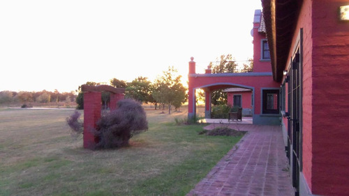 Venta Chacra De 4 Dormitorios En Colonia Suiza, Baradero