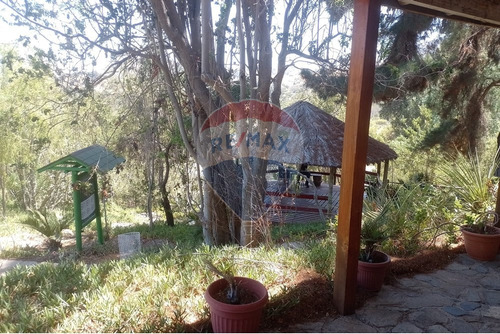 Oasis La Campana Parcela Rebajada
