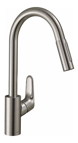 Hansgrohe Focus M41 31815 - Stainless steel