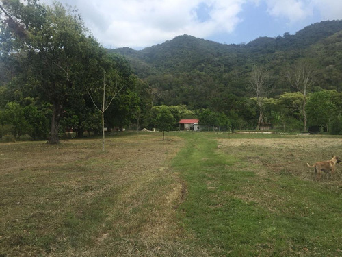 Rancho Forestal Y Ecoturístico En Venta En Palenque, Chiapas