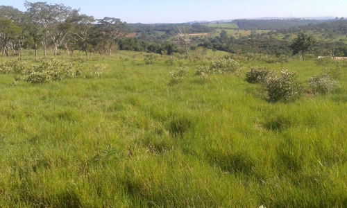 Fazenda A Venda 117 Hectares Com Granja Centro-oeste De Mg - 14532