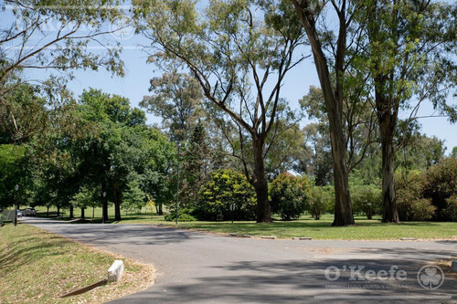 Imagen 23 de 27 de Venta De Lote Sobre Golf En El Barrio La Avenida En Abril Club De Campo