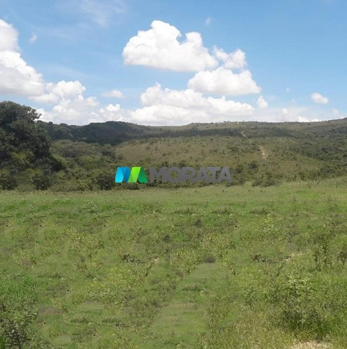 Imagem 5 de 7 de Fazenda - Zona Rural - Ref: 4604 - V-mta4604