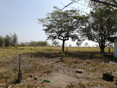 Hectáreas En Venta Veracruz Localidad El Pando, Veracruz.