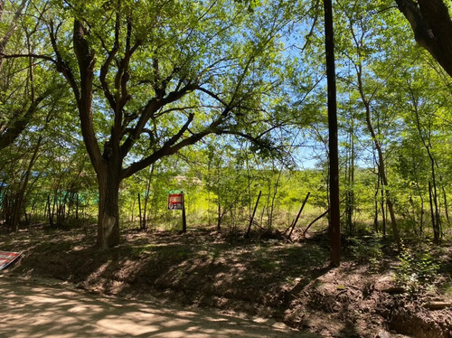 Imagen 4 de 5 de Cod 348 : Lote En Venta De 986m2 Ubicado En Casa Grande
