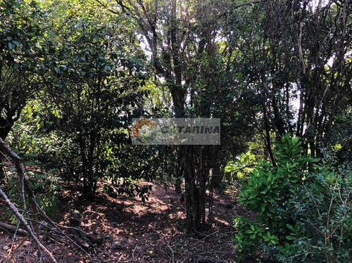Otima Chacara