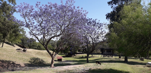 San Pedro Provincia Cabaña La Primavera Frente Rio Parana.