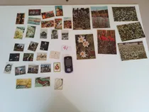 Comprar Lote 35 Antiguas Figuritas Alemanas Variadas Ver L41