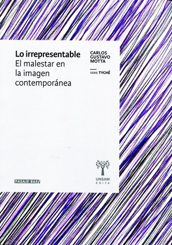 Lo Irrepresentable - Carlos Motta - Unsam - Libro Nuevo