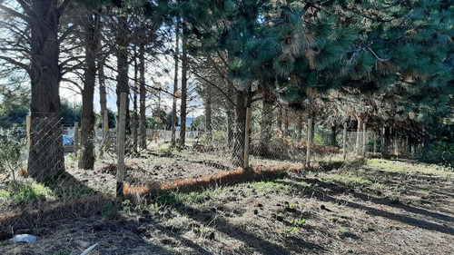 Imagen 16 de 28 de Terreno - Dina Huapi. 1.109 M2 En Esquina Con Gran Frente, Cecado, Plano Y Arbolado