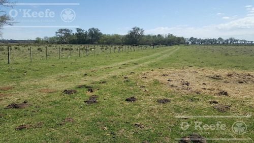 Imagen 14 de 22 de Chacra De 28 Has En Venta - Casco Y Producción