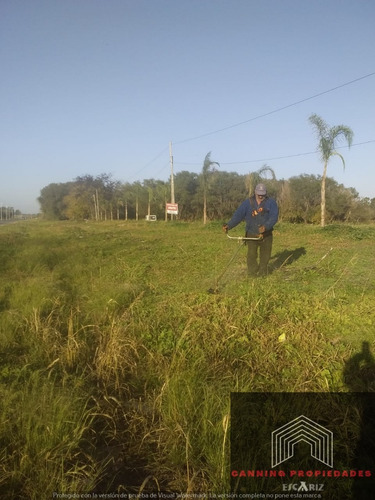Imagen 7 de 11 de Importante Fraccion 1.8 Ha En Ezeiza Cerca De Los Bosques Afa Aeropuerto Ideal Logistica ,nave Industrial ,corralon