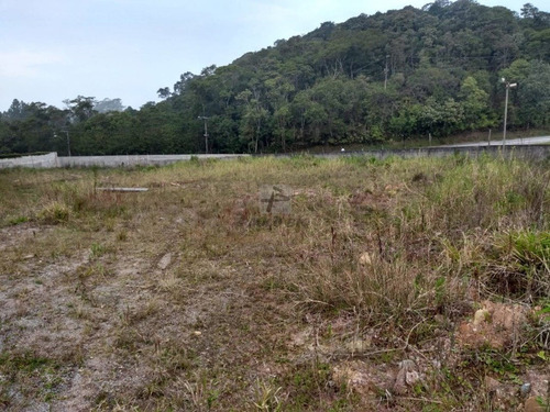 Imagem 9 de 13 de Terreno Industrial - Vila Jurubatiba - Ref: 894 - L-894
