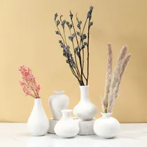 Comprar Juego De Floreros De Cerámica Blanca, 5 Floreros Pequeños A