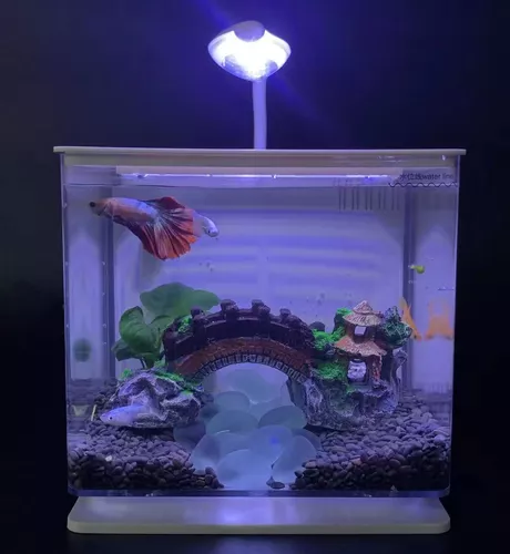 Termostato Calentador Acuario Pecera 30w 26c Calentador