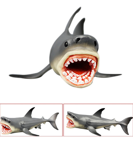 Jj Q Megalodon, Tiburón Prehistórico, Animal Educativo