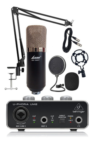 Placa De Sonido Behringer Um2 Mic Bm-800 Kit Brazo Cable