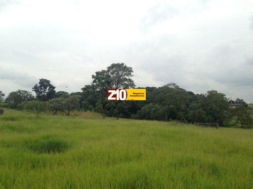 Imagem 11 de 30 de Haras - Ha00002 - 32523009