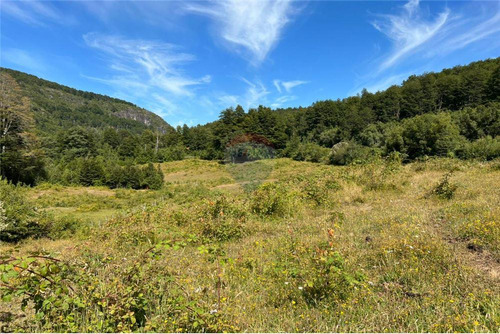 Campo 206 Ha  Cochamó - Lago Las Rocas 