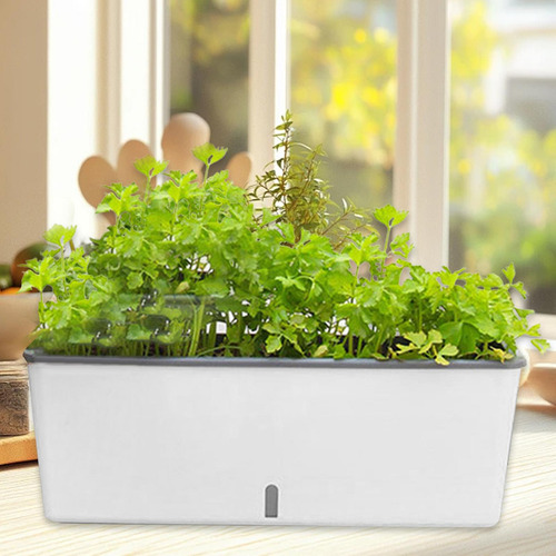 Caja De Ventana Plantador Rectangular Auto -riego,