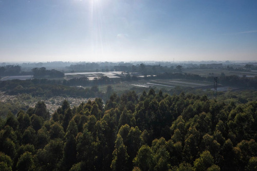 Campo En Venta 9 Hectareas