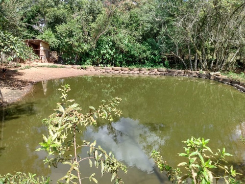 Chácara 6.000 M² - São Cristóvão - Gravataí - Rs - 2342 - 67724617