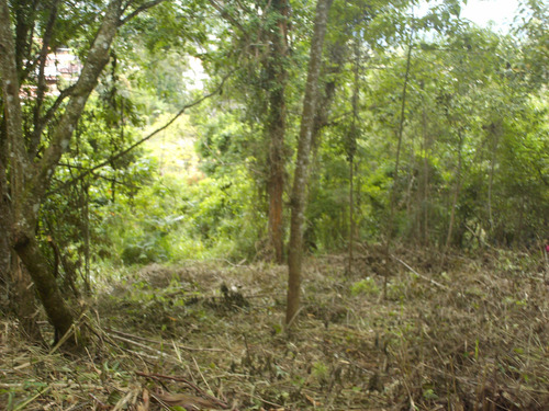 Terreno De 27258 M2 Con Anteproyecto En Oripoto El Hatillo Caracas