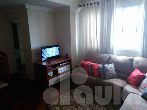 Imagem 3 de 14 de Apartamento Bairro Jardim Próxima Das Figueiras - 1033-10656
