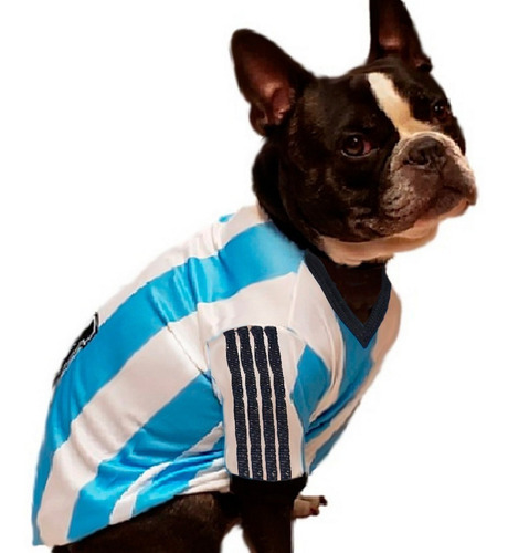 Remeras Camisetas Ropa Para Perros Mascotas Argentina!