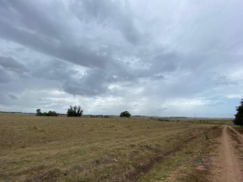 Imagen 5 de 8 de Venta De Chacra En Rincón De José Ignacio, 5 Hectareas - Jose Ignacio José Ignacio