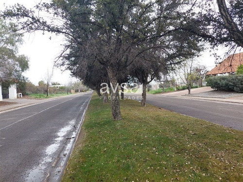 Imagen 5 de 18 de Sitio En Venta En Colina