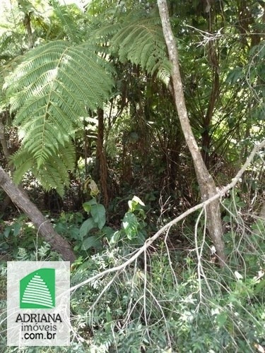 Venda Chácara De Lazer Com Área De 24.000 M² Com Nascente Dágua - 5901