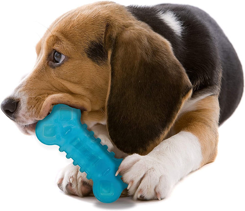 Imagen 5 de 8 de Nylabone Chill & Chew Freezer - Juguete Para Masticar Huesos