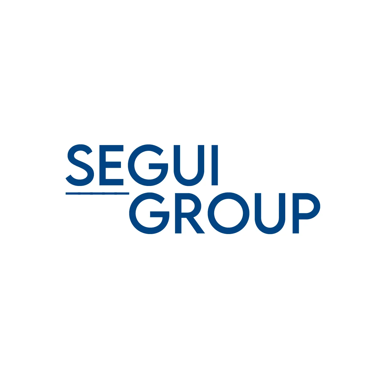 SEGUI GROUP