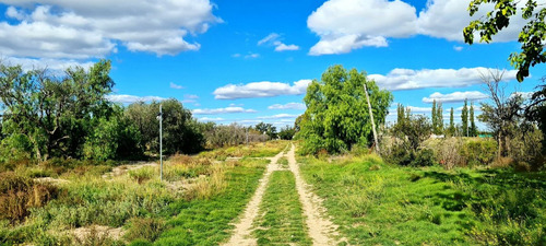 Venta Casa Con Gran Terreno San Rafael, Mendoza